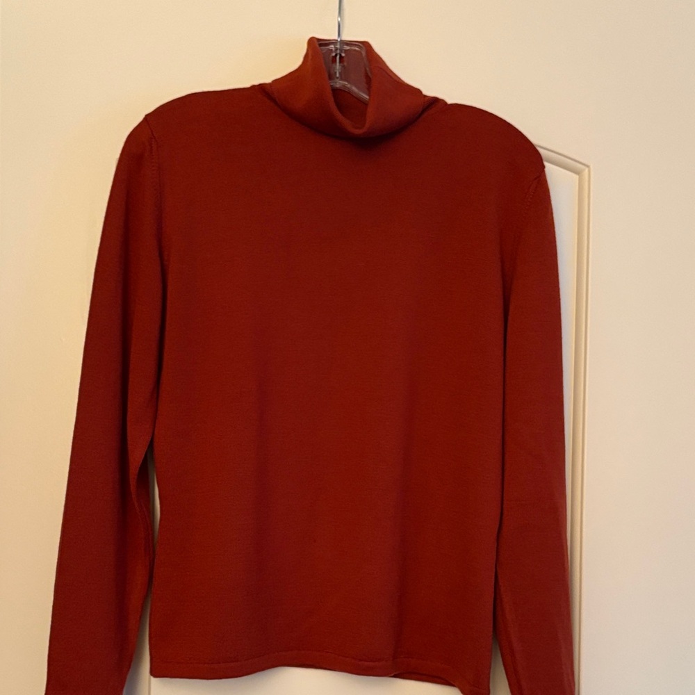 Rust Turtleneck Sweater